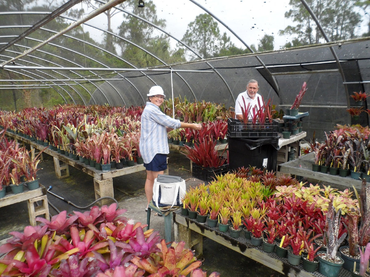 Don and Joann work the Beadle collection