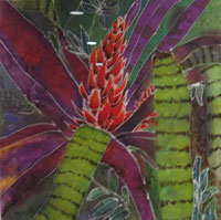 Mary McBride silk