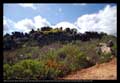Campo rupestre