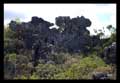 Campo rupestre