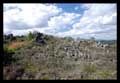Campo rupestre