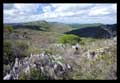 Campo rupestre