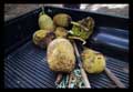 Jaca or Jackfruit