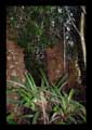 Ruinas