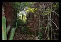 Ruinas