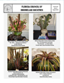 August 2022 FCBS Newsletter