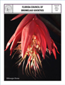 February 2023 FCBS Newsletter